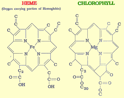 https://science2be.files.wordpress.com/2012/05/wheatgrass_hemoglobin_chlorophyll_molecule.gif?w=490