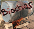 biochar