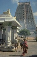 The temple, Tiruvanamalai